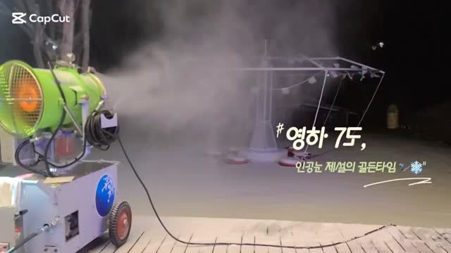 밤의 냉기가 선물하는 결정체